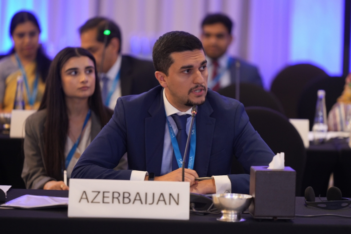 Azerbaijani delegation attends 25th meeting of IRENA Council