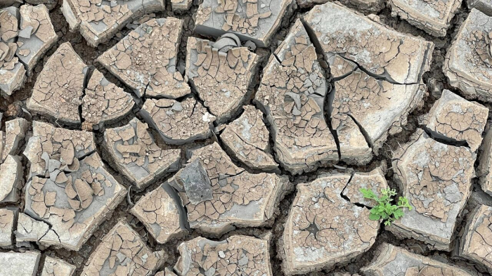 La ONU cifra en 650.000 los muertos por sequía en los últimos 50 años