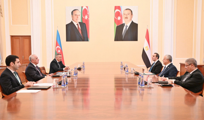 Azerbaijan, Egypt discuss prospects for expansion of cooperation