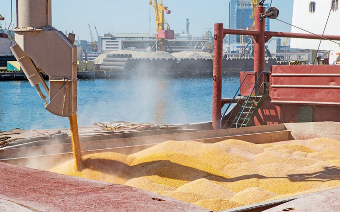   Taxıl sazişi üzrə danışıqlar davam edəcək  