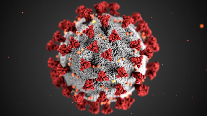       Hazırlaşın:    Yeni virus gəlir    