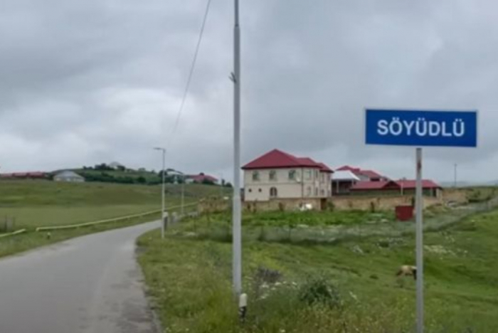       Söyüdlüdə    xəstəliklərin statistikası və dinamikası təhlil edilir, tibbi müayinələr aprılır   