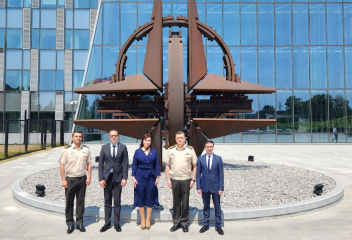    Azərbaycan ilk dəfə NATO Hərbi Komitəsinin enerji təhlükəsizliyi iclasında   