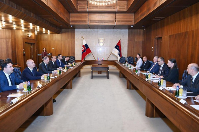   Aserbaidschanischer Außenminister trifft sich mit dem Vorsitzenden des slowakischen Nationalrats  
