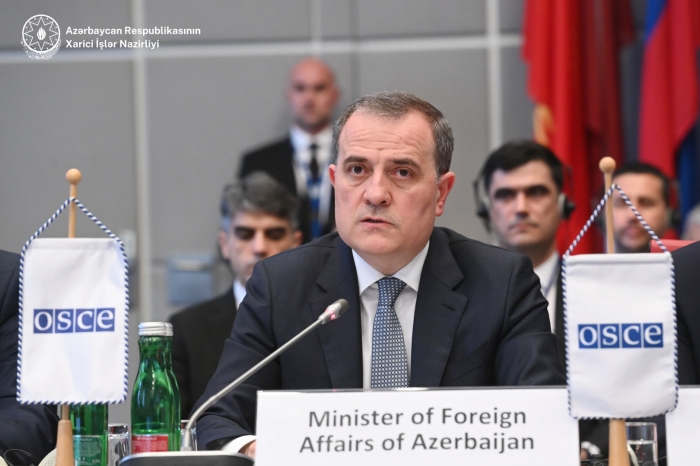   OSCE must be flexible, agile enough to adapt to rapidly evolving environment to remain relevant: Azerbaijani FM  