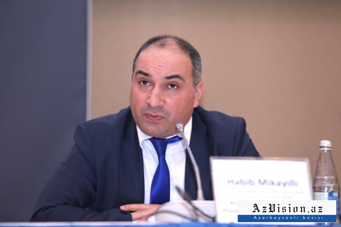       Həbib Mikayıllı:    Ermənistan mədəniyyətimizə qarşı genosid törədib  
   