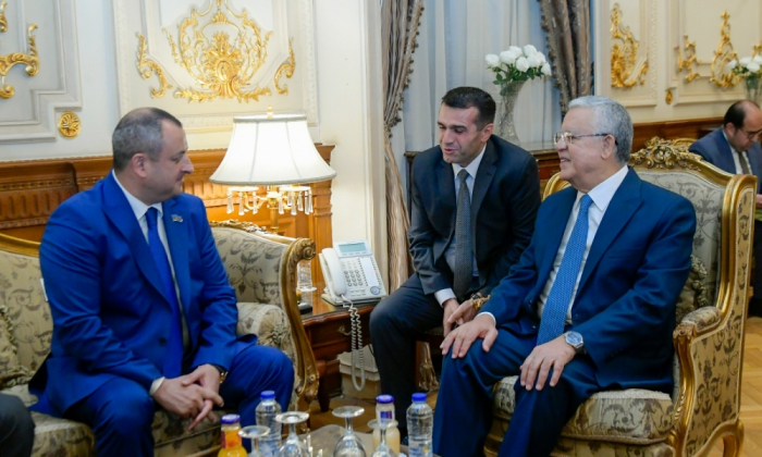   Azerbaijan, Egypt discuss prospects for developing inter-parliamentary cooperation  