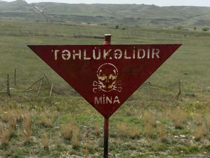   Azerbaijan establishes medal for merits in mine clearance  