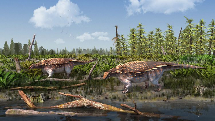   Londoner Forscher beschreiben neue gepanzerte Dinoart  