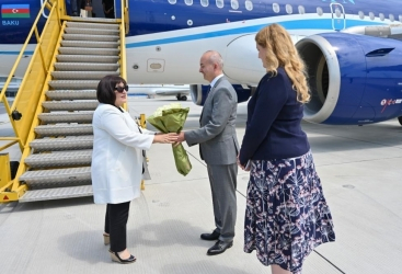 La delegación del Parlamento de Azerbaiyán visita Austria