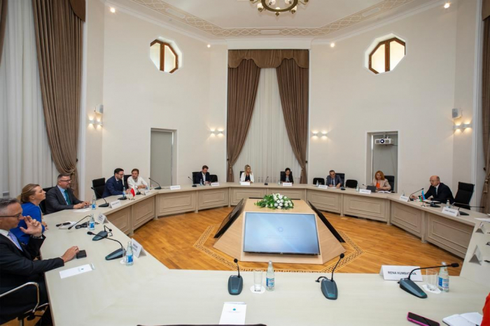 Azerbaijan and Poland examine prospects of cooperation in energy sector