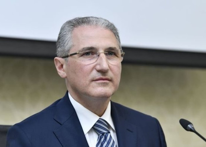    "Söyüdlü kəndində monitorinqlərə başlanılıb" -    Nazir      