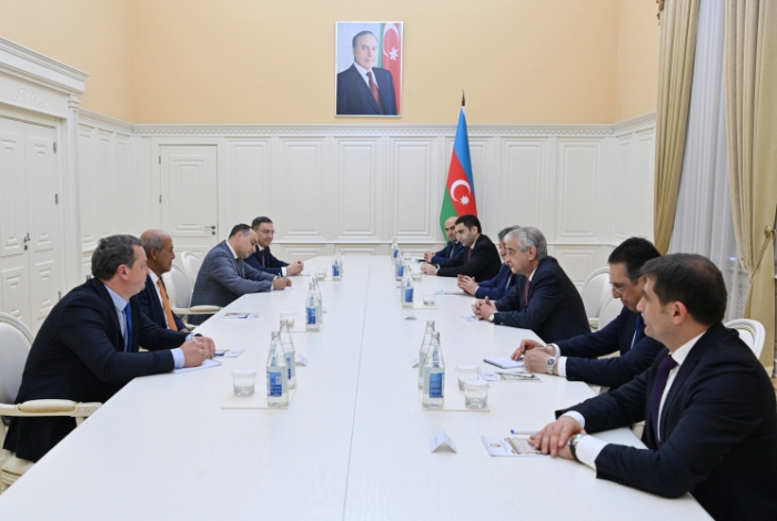  Azerbaijani deputy PM meets with WIPO deputy director general  
 