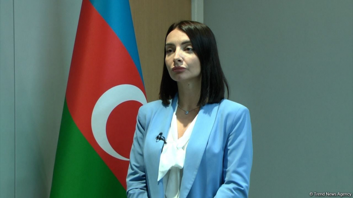  Azerbaijani ambassador to France condemns attack on AzTV employees in France 