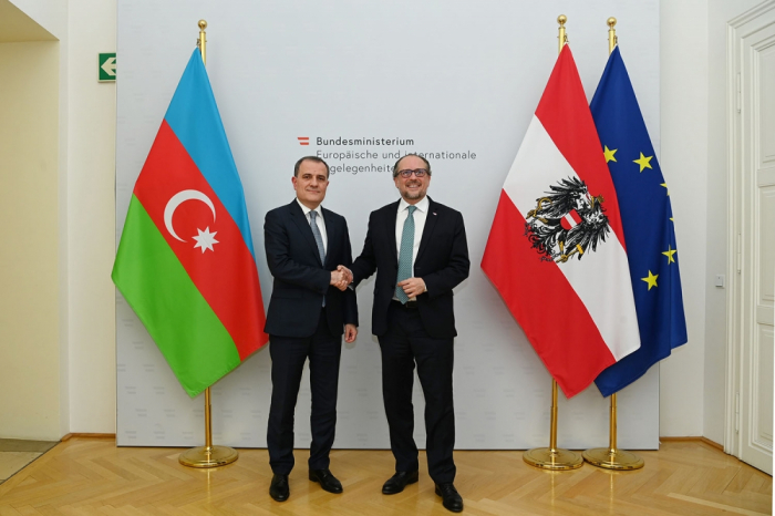 Azerbaijan and Austria mull cooperation agenda