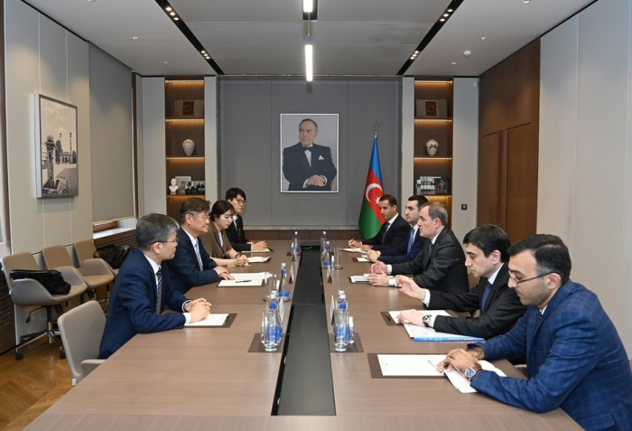   Korean companies interested in cooperation with Azerbaijan, official says   