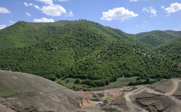    Komissiya Söyüdlüdəki şirkətə tələb irəli sürüb   