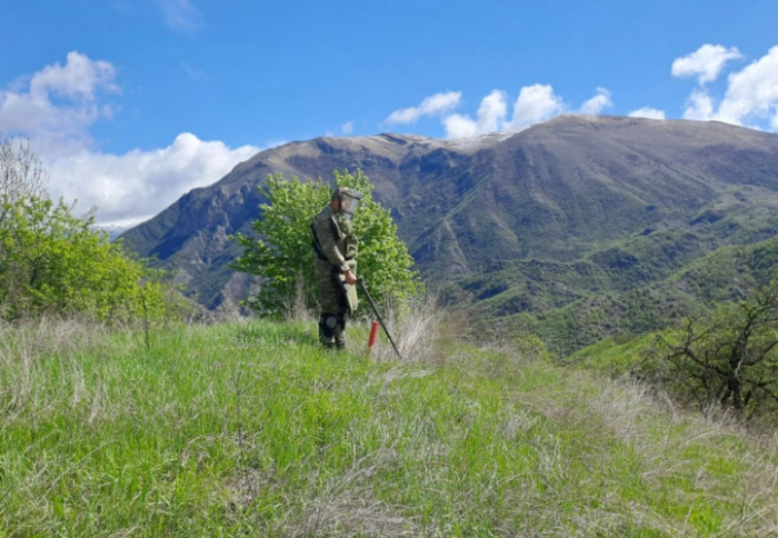   Up to 640 hectares of land completely demined in liberated Azerbaijani areas last month: Defense Ministry  