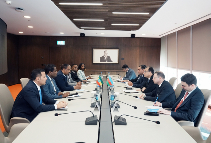 Azerbaijan, Ethiopia discuss development of economic cooperation