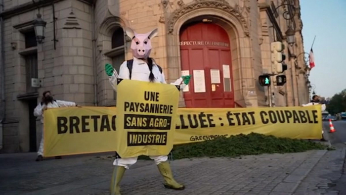   Green algae protest against farming in France -   NO COMMENT    