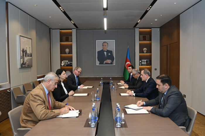   Azerbaijani FM meets with ICRC Head  