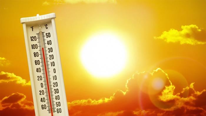 New temperature records possible as heatwaves set to intensify - WMO