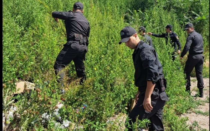    DTX və polis Laçında birgə tədbirlər keçirib   