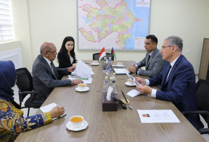 Azerbaijan, Indonesia discuss environmental cooperation