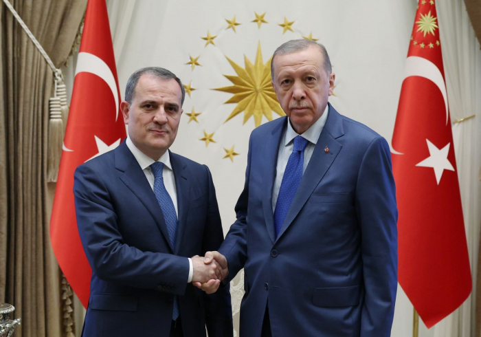   Turkish President Erdogan receives Azerbaijani FМ Bayramov  