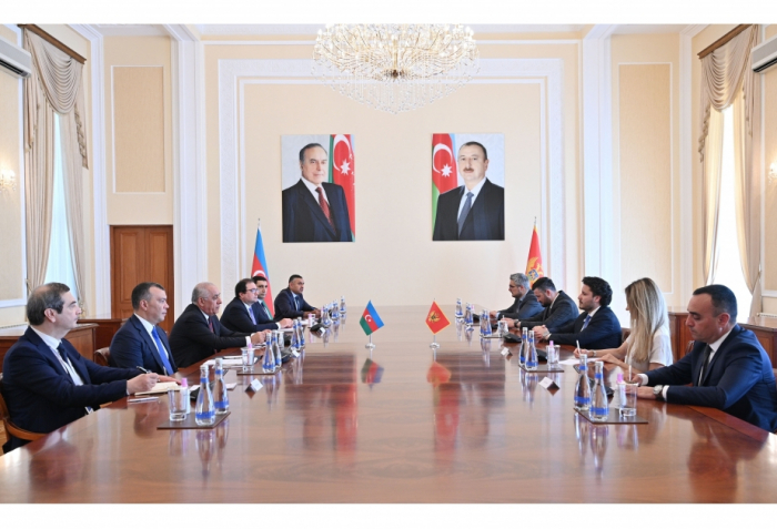 Azerbaijani PM meets with Montenegrin counterpart