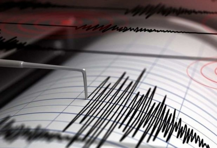 Magnitude 4.9 quake hits Azerbaijan’s Lankaran district