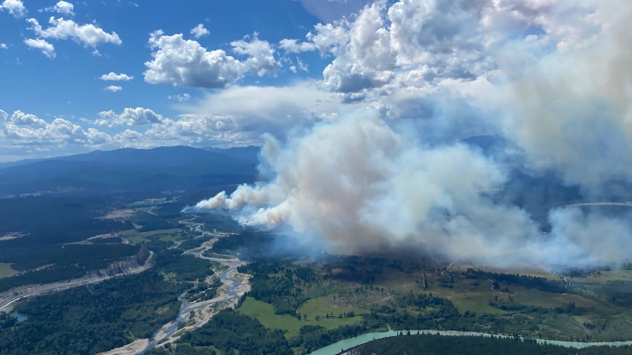  En dix ans, la Terre a perdu 82 millions d’hectares de forêts dans des incendies 