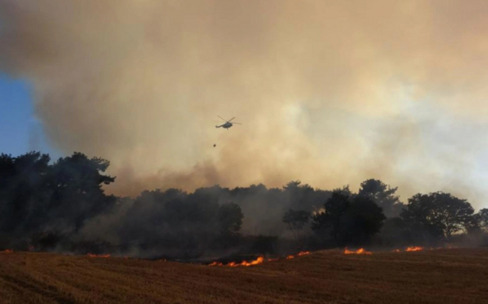   In mehreren Provinzen der Türkei brennen Wälder  
