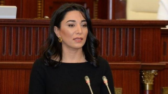    “Ermənistan Azərbaycana qarşı nifrət siyasətini davam etdirir"   