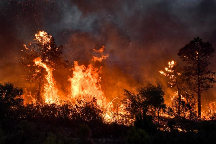 Algérie : au moins 34 morts dont 10 militaires dans de violents incendies