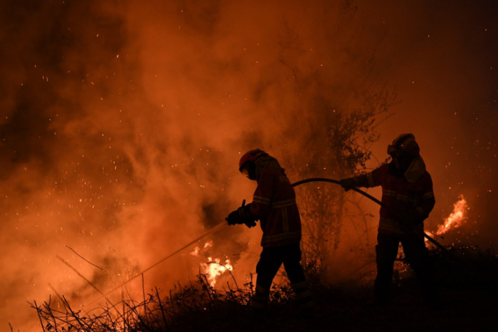 Plus de 1.000 personnes évacuées face aux feux de forêt au Portugal