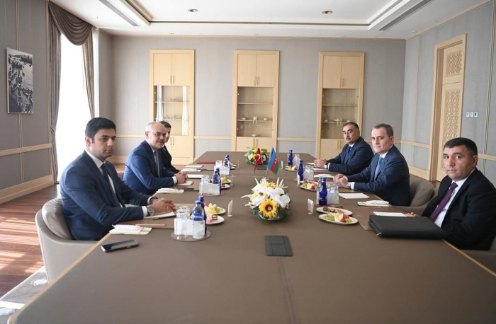   Azerbaijani FM meets with chief adviser to Turkish president  