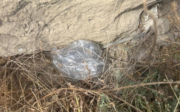    Böyük Şor gölü ərazisində gizlədilmiş narkotik aşkarlanıb  
   