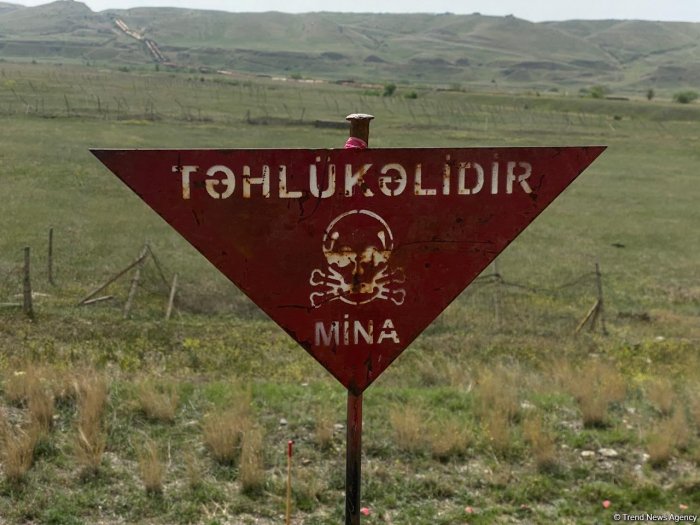    Azad edilmiş ərazilərdə daha 337 mina aşkarlanıb   
