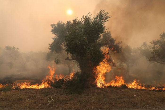 Greece discovers 18 charred bodies as southern Europe wildfires spread