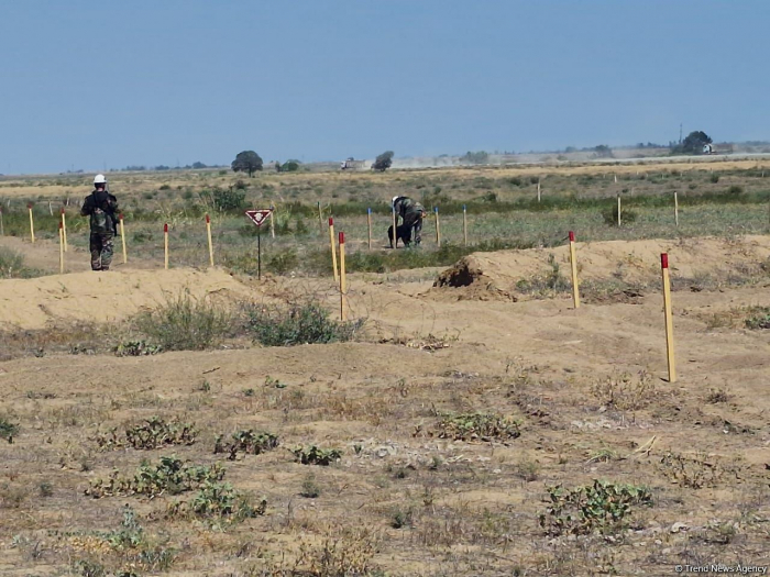   Azerbaijan continues work on demining liberated territories  