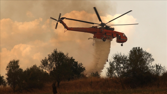 Wildfire in Greece’s Evros region declared biggest in 20 years