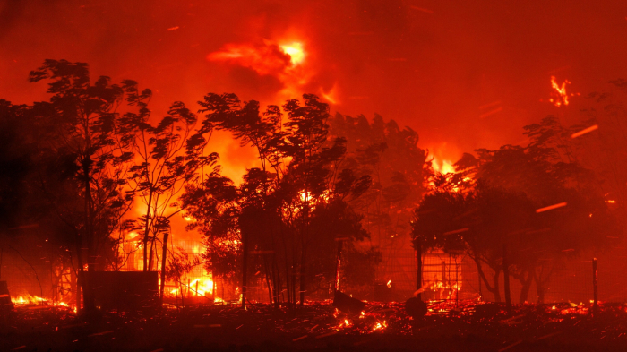 Greece wildfires: 79 people arrested for arson