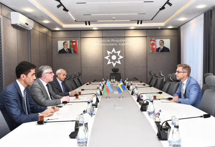 Azerbaijan, Sweden discuss opportunities for cooperation in humanitarian mine action