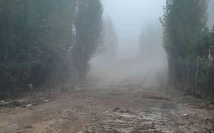 Sel yol infrastrukturuna və yol qurğularına ziyan vurub