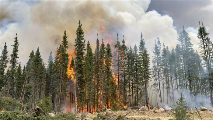 Feux de forêt : Yellowknife, la plus grande ville du Grand Nord, en cours d