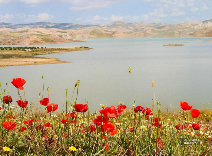 Hirmənd çayı ətrafında ehtiraslar səngimir 