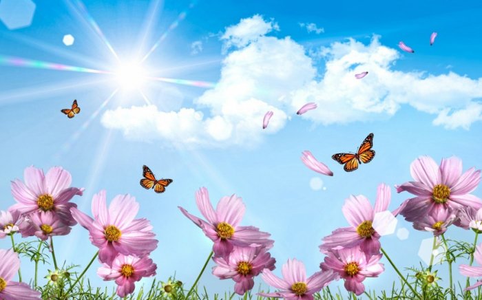    Sabah temperatur 44 dərəcəyədək artacaq   