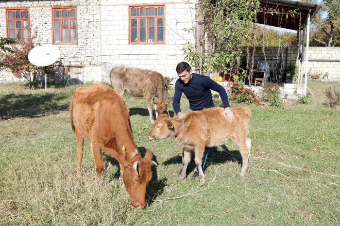 Laçında özünüməşğulluq proqramının icrasına başlanılıb