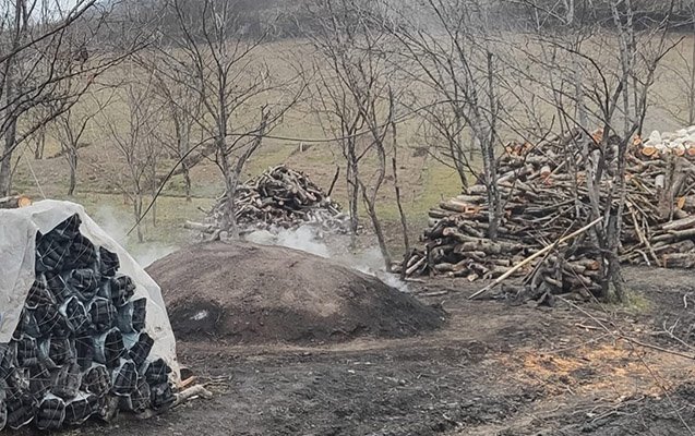 İsmayıllı, Qax və Ağstafada qanunsuz kömür quyuları aşkarlanıb